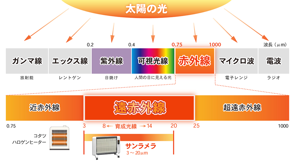 太陽の光と遠赤外線